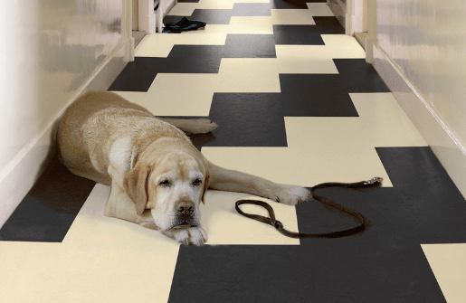 Tipos de Pisos. Pros y Cons para tu Proyecto.